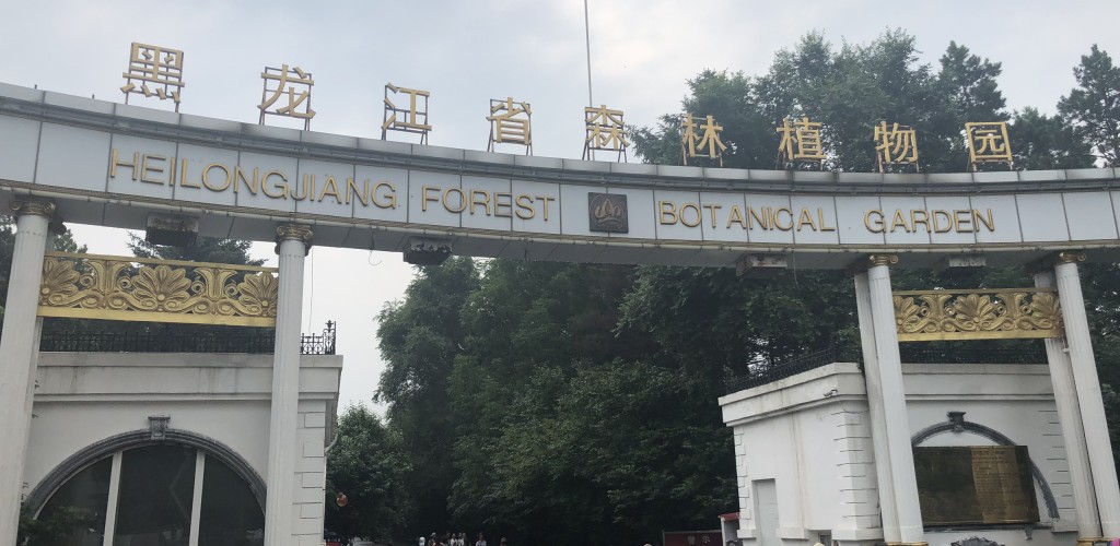 黑龙江省森林植物园线自驾游路线推荐_攻略