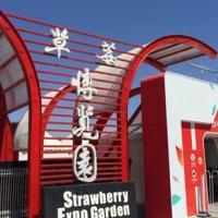 北京农业嘉年华-草莓博览园自驾游景点