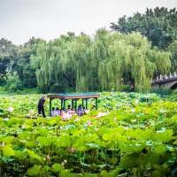 紫竹院公园自驾游景点