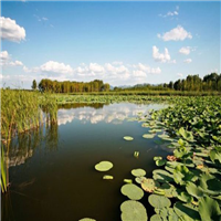 北京野鸭湖国家湿地公园自驾游景点