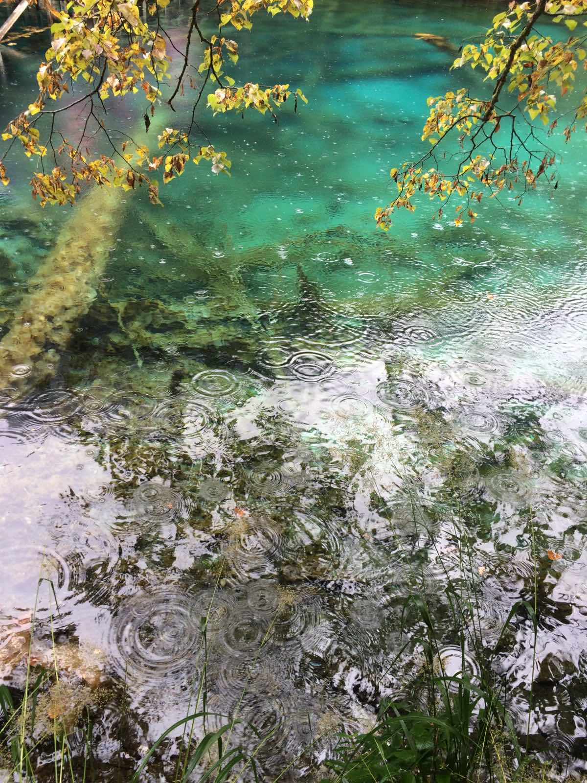 有九寨沟一绝之称的五花海确实很美，湖水颜色多变，艳丽非常，不过当天一直