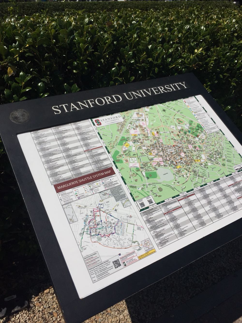 西部哈佛，走进校园就有浓浓的学院气息，离旧金山市区60公里