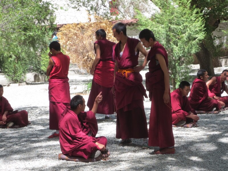 这就是赫赫有名的色拉寺辩经，前几年可以在喇嘛们身边来回穿梭拍照，现在只