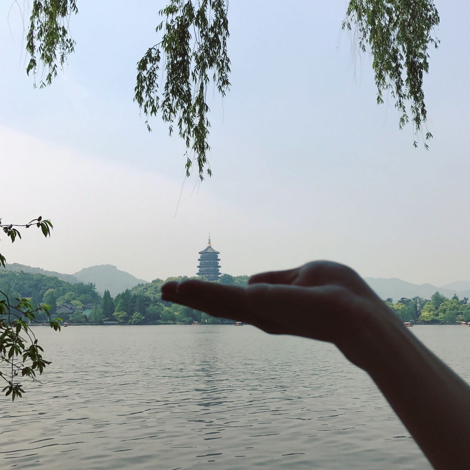 去了那么多次杭州 终于上了雷峰塔啦！风景很棒！