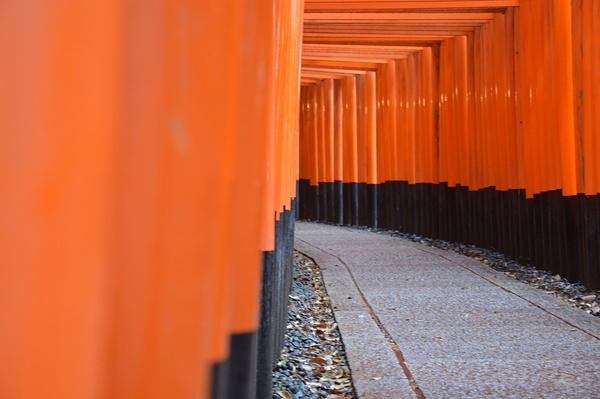 清水寺算得上是京都最具代表性的地标了，任何自由行和跟团游的来京都，这里