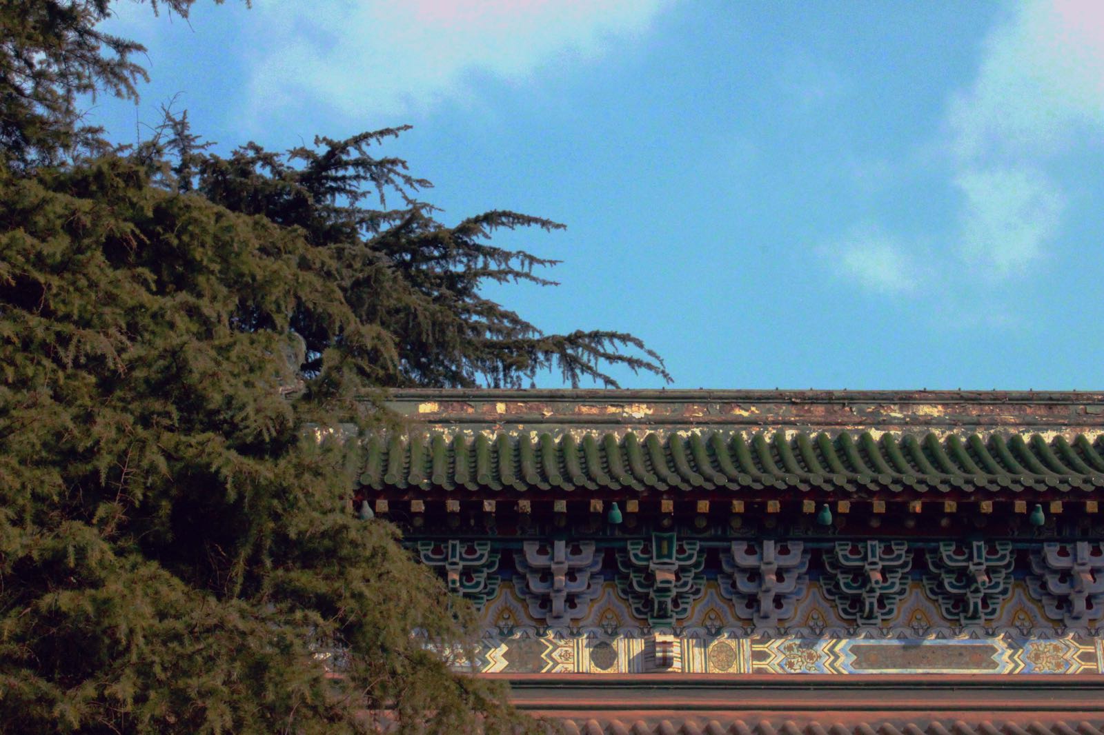 ·去鸡鸣寺的路上本想早起去敬香登塔，后来起不了床。南京市政府竟然是有飞