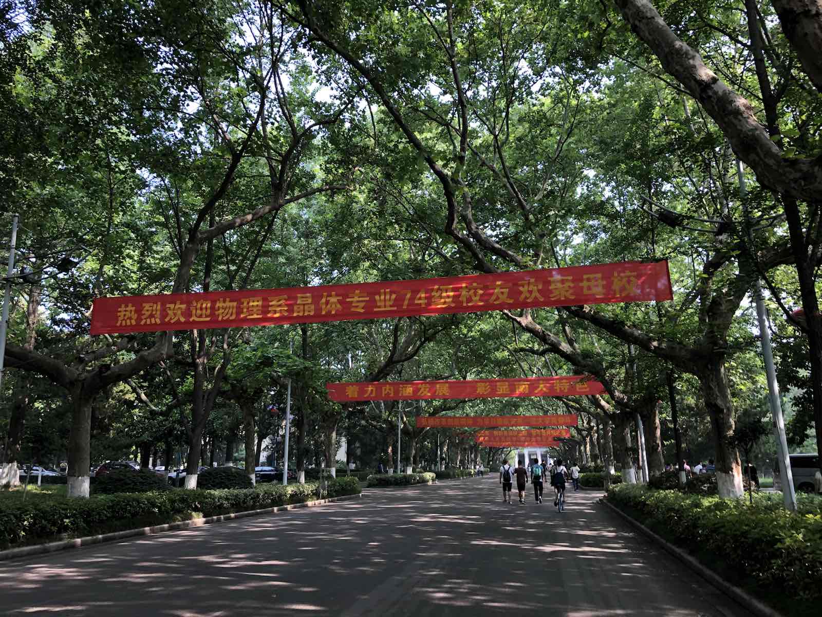 校园，一向是巨大的吸引南京大学让我想起自己的母校，位处闹市，小小的校园