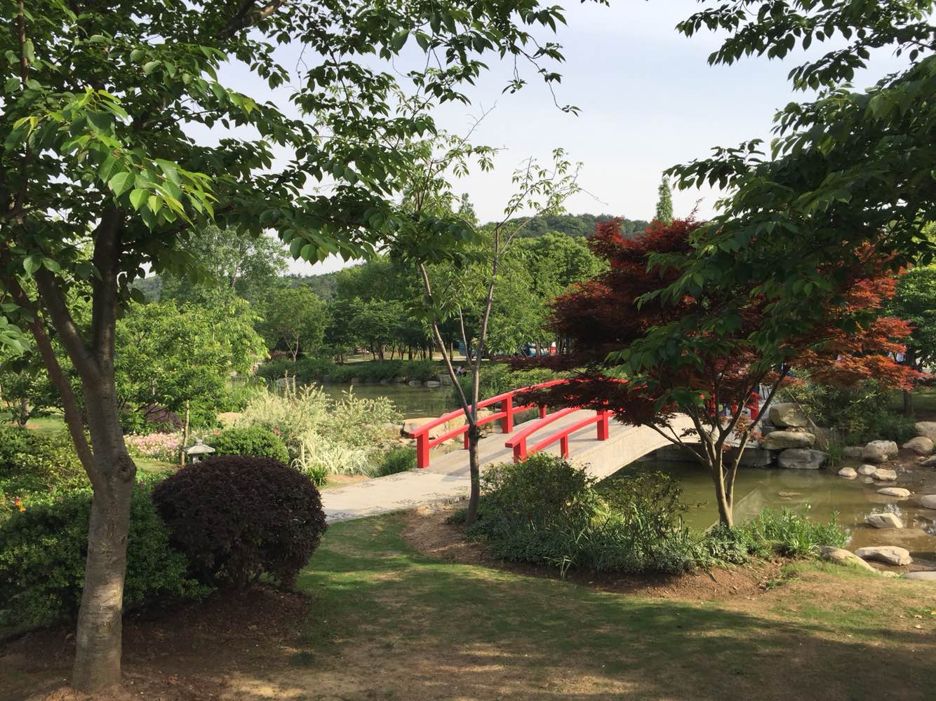 即使错过了樱花，樱花谷也是幽静美丽的，看园林的设计有一点点京都的味道，