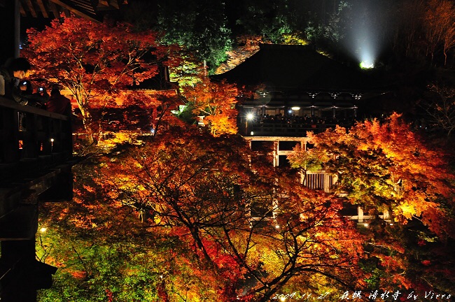 夜楓‧清水寺红叶ライトアップ 清水寺清水寺的夜枫拜观是京都红叶名所中极