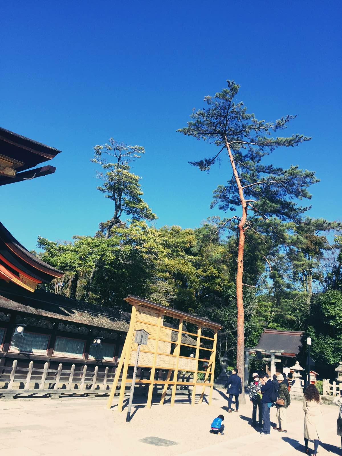 八坂神社⛩️，得名据说来自于门前有8条坡，日本人取名技巧真是不可小觑啊