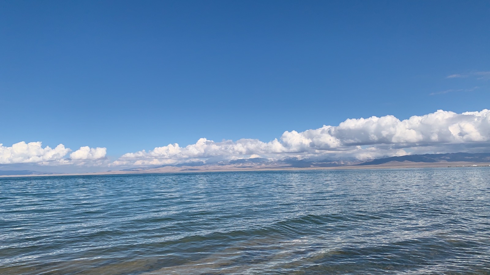 青海湖，藏语名为“措温布”（意为“青色的海”）。位于青藏高原东北部、青