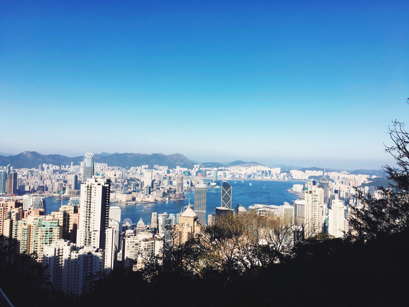 维港还是那个维港，山顶还是那个山顶，见过太多城市的美，再看HK，已经没