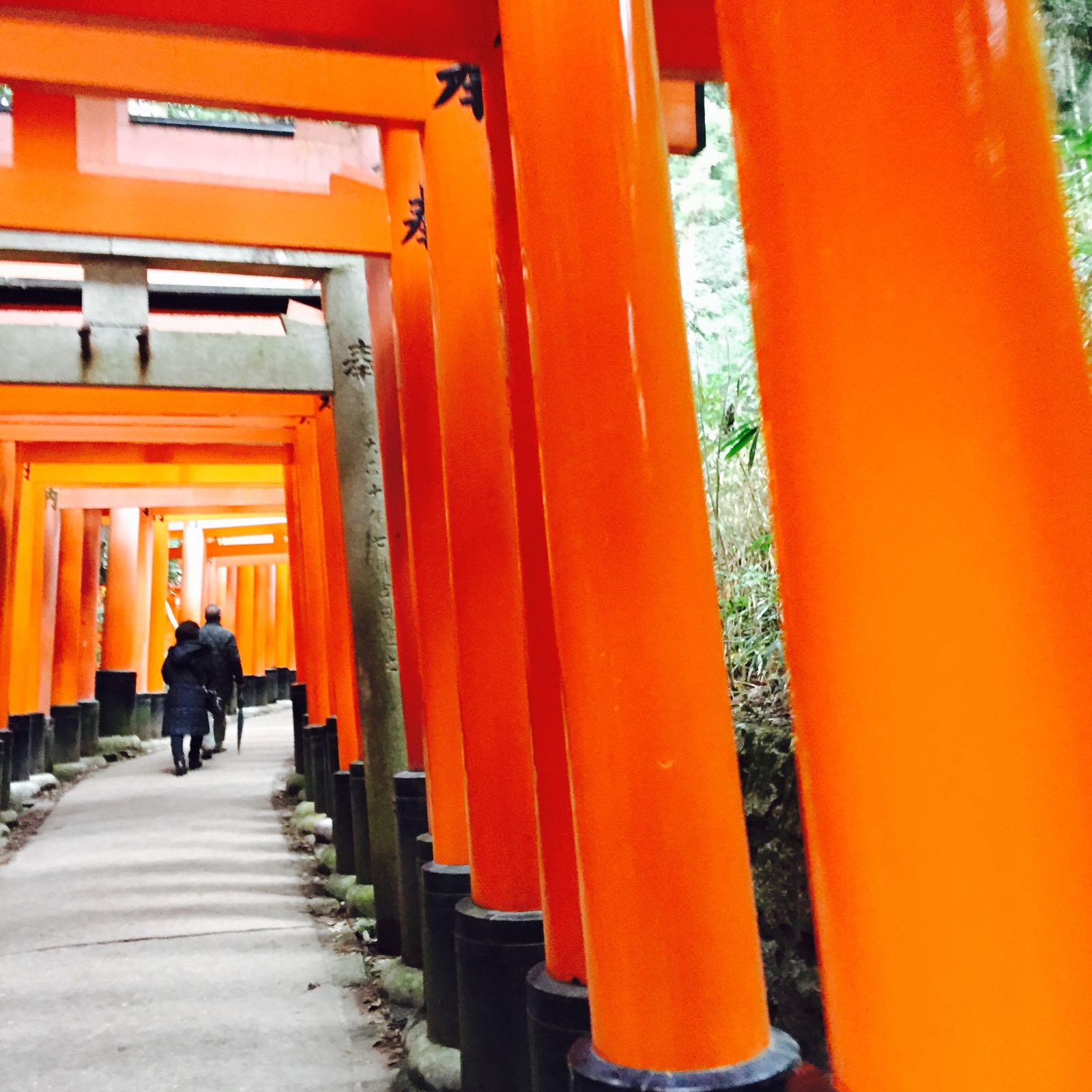 伏见稻荷神社是京都最有名的神社了，以层层千鸟居著称。 实际地理位置不在