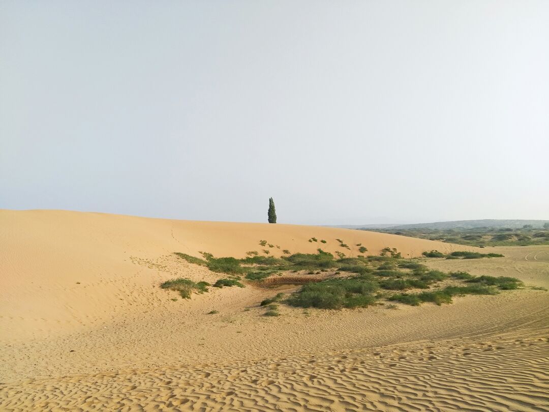 "月牙泉"宛如沙漠人家的一颗明珠，向沙丘仰望好象一轮弯弯的月亮，从沙丘