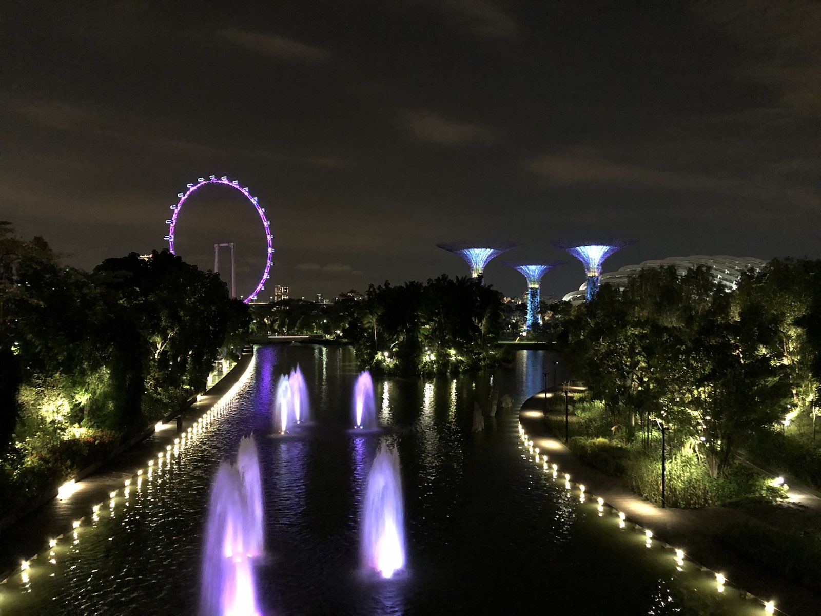 相比Singapore Zoo，河川生态园名气小很多，但它是一个以河川