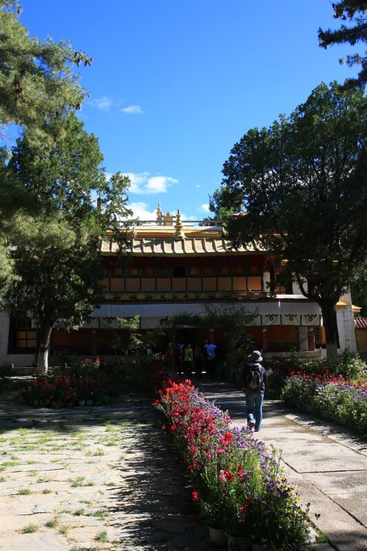 罗布林卡是历代喇嘛的夏宫，你怎么也想不到在拉萨还有一处碧水蓝天白云☁，