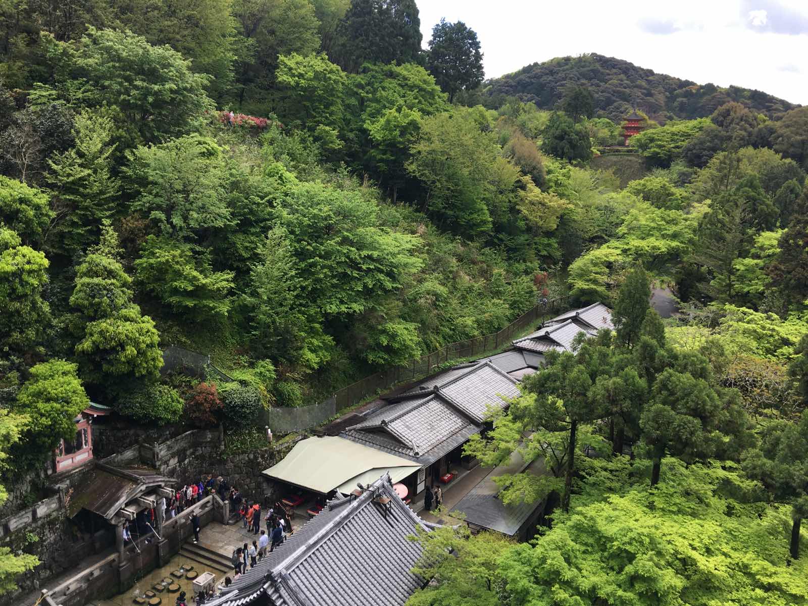 几年前来过一次京都，那时清水寺也上来过，只在门口拍了照片就走了没进去，