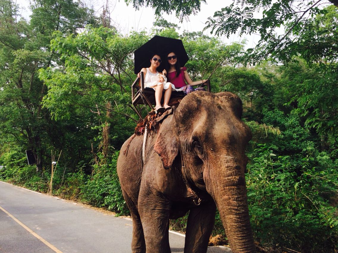 我们共四人 两人骑一头象 有车接送 总花费1600泰铢 我们骑的大象3