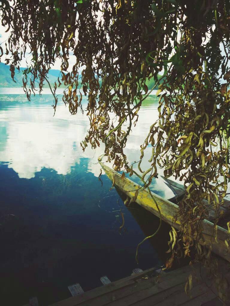 泸沽湖的美已经无法用言语表述