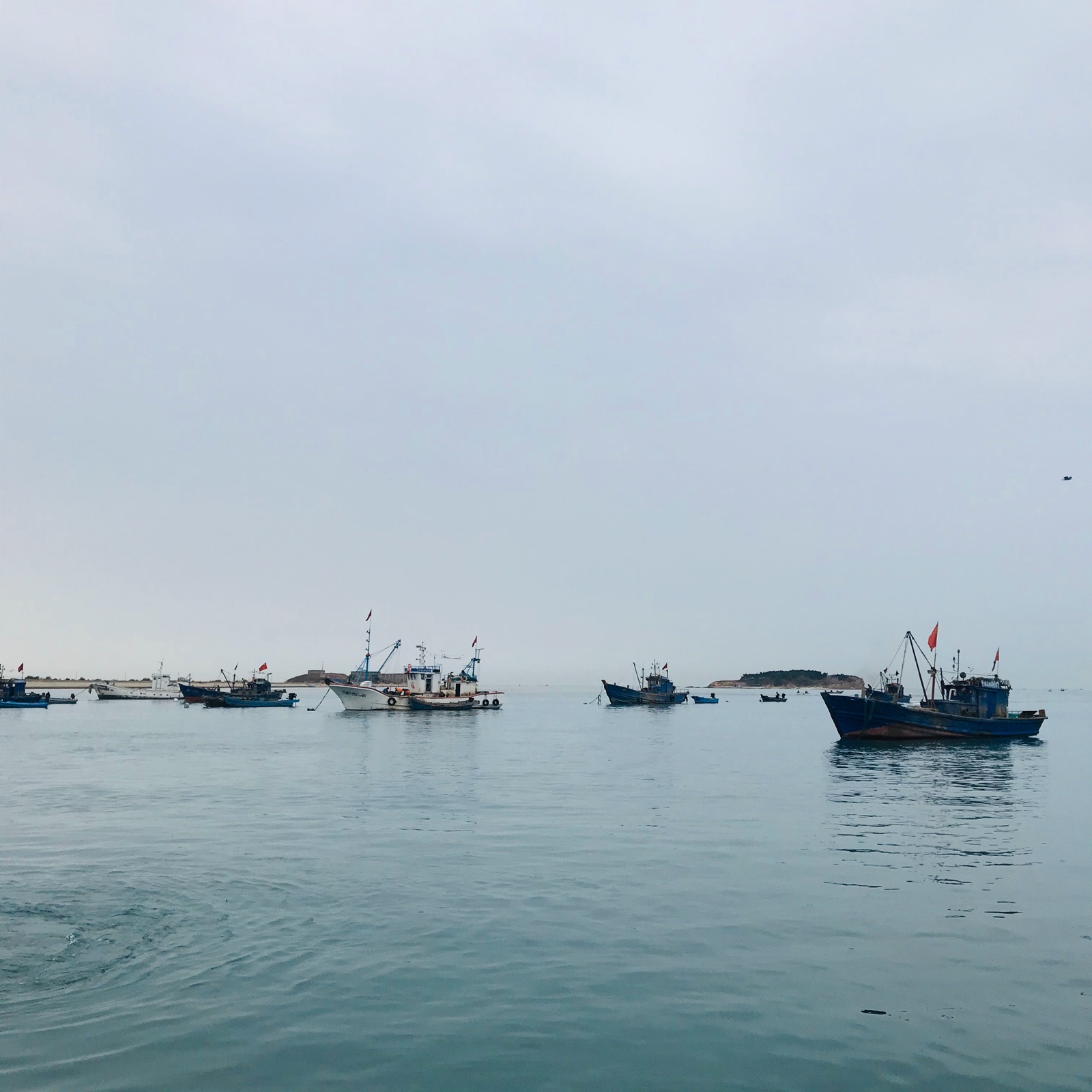 威海渔船码头