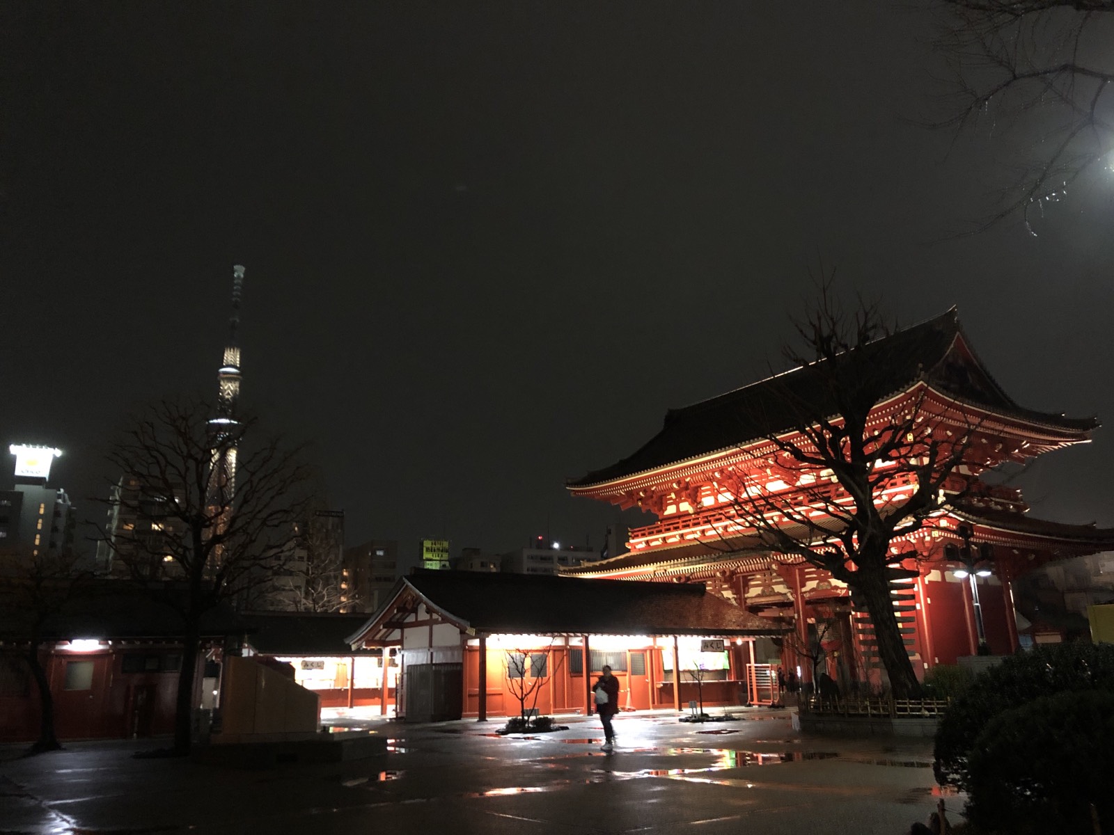 因为住在附近，外出时前往车站的路上，必定会经过浅草寺，所以白天和黑夜的