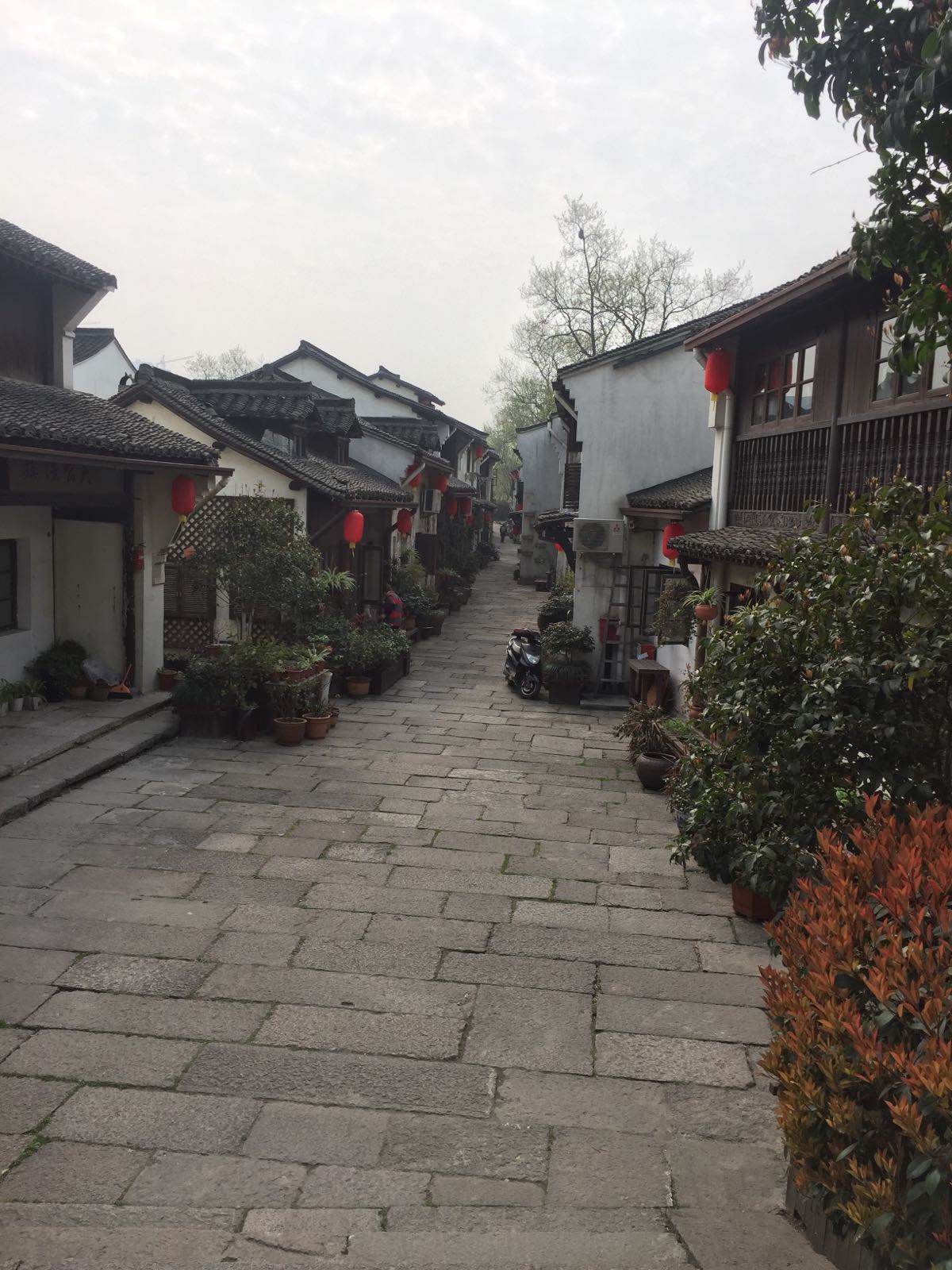 在运河边的一个据说保持得不错的旧街。据说杭州市政府是维修了旧房子，还有