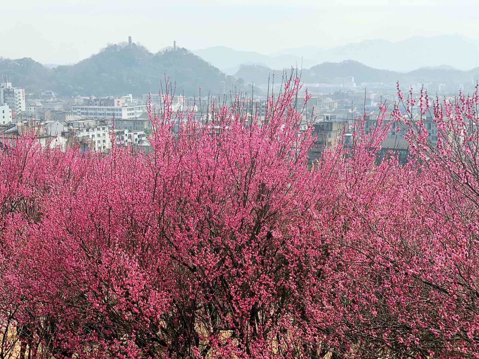 临海的江南古长城有北京长城的神韵也有西安古城墙的视角感登高 观城隍庙的