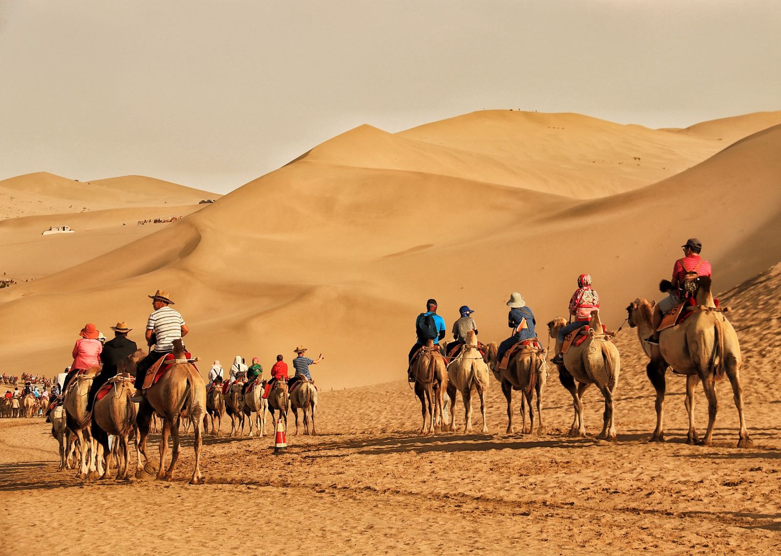 终于见到了沙漠！！不过感觉离城市太近了我们一进去就骑了骆驼，然后滑沙，