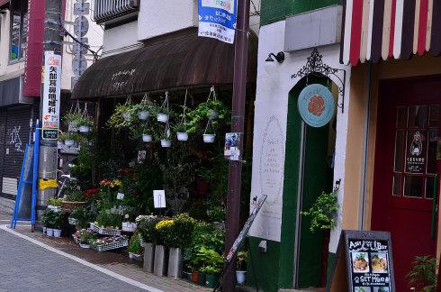 吉祥寺被评为全日本最受欢迎的居住地，生活气息浓厚，交通购物极为便利，很