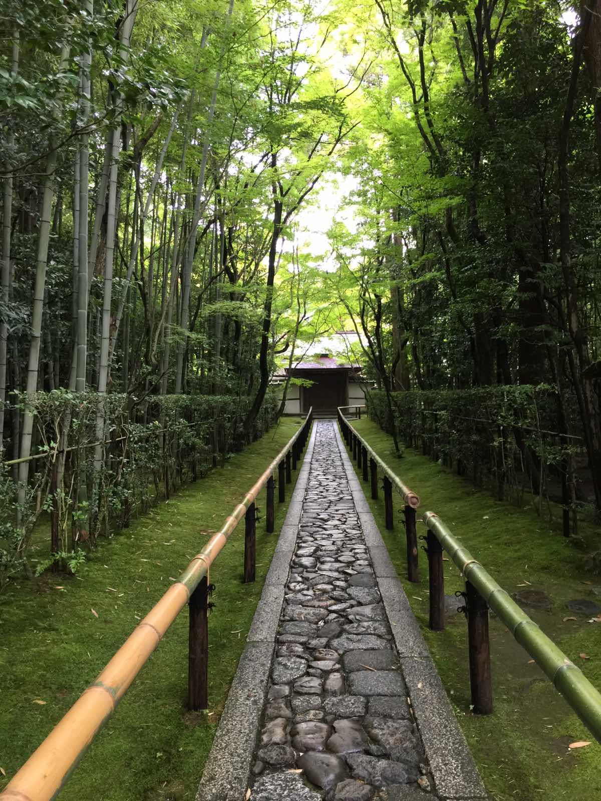 日本传统枯山水庭院，喜欢枯山水的千万不能错过！这里听说有一休和尚的真迹