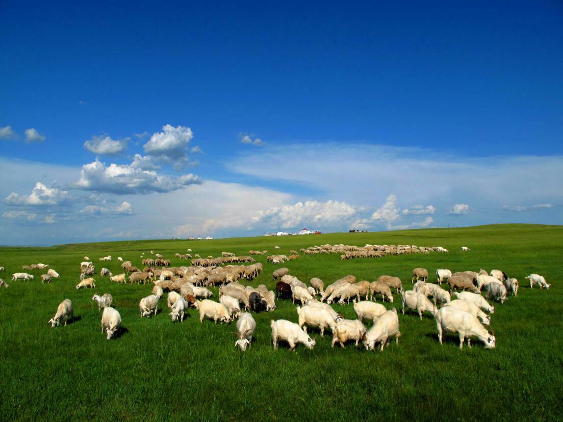 呼伦贝尔草原位于内蒙古呼伦贝尔，因其旁边的呼伦湖和贝尔湖而得名。是世界