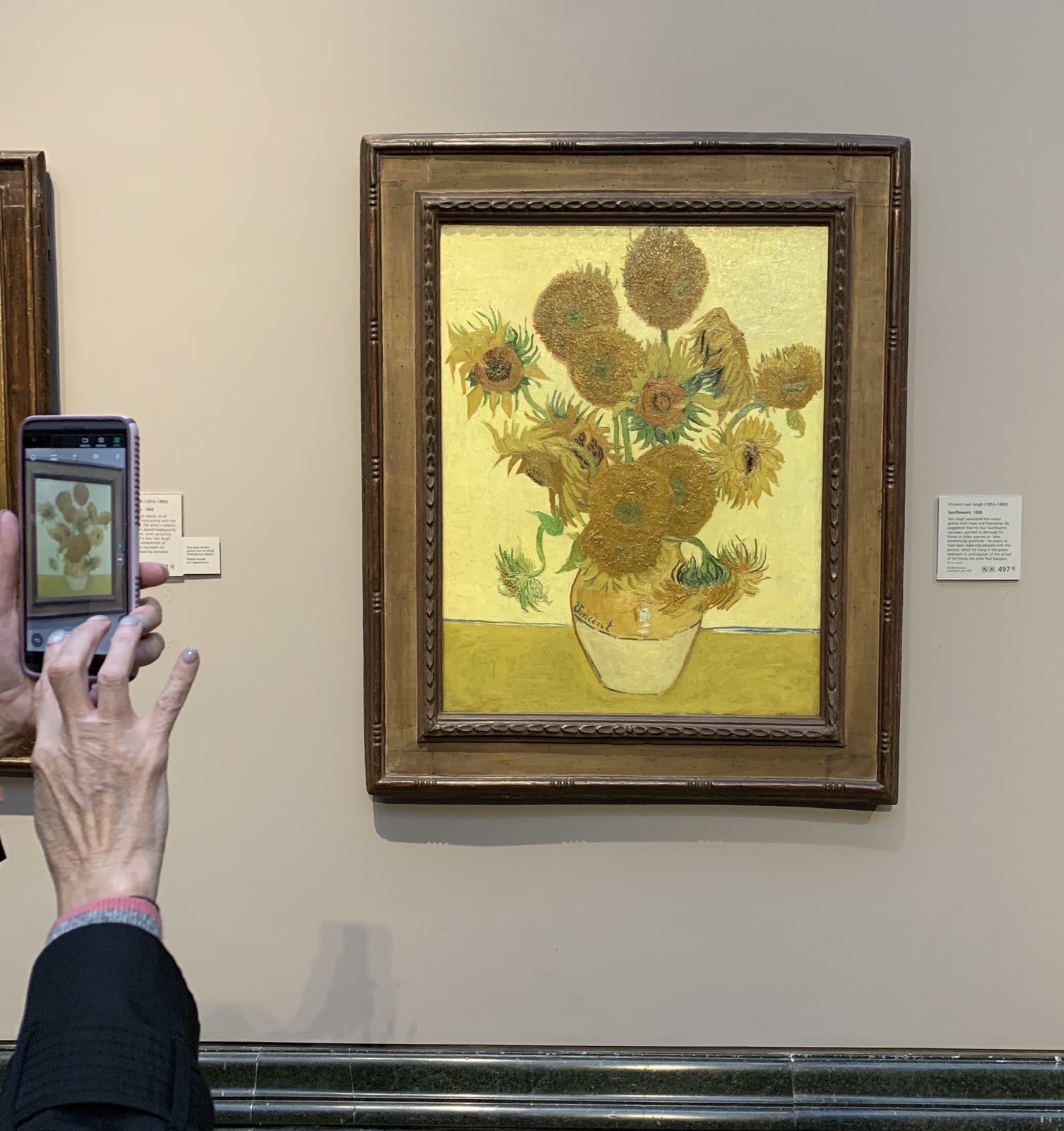 风太大了，国家美术馆的藏品数量众多，进入其中最先去找梵高的＂向日葵＂，