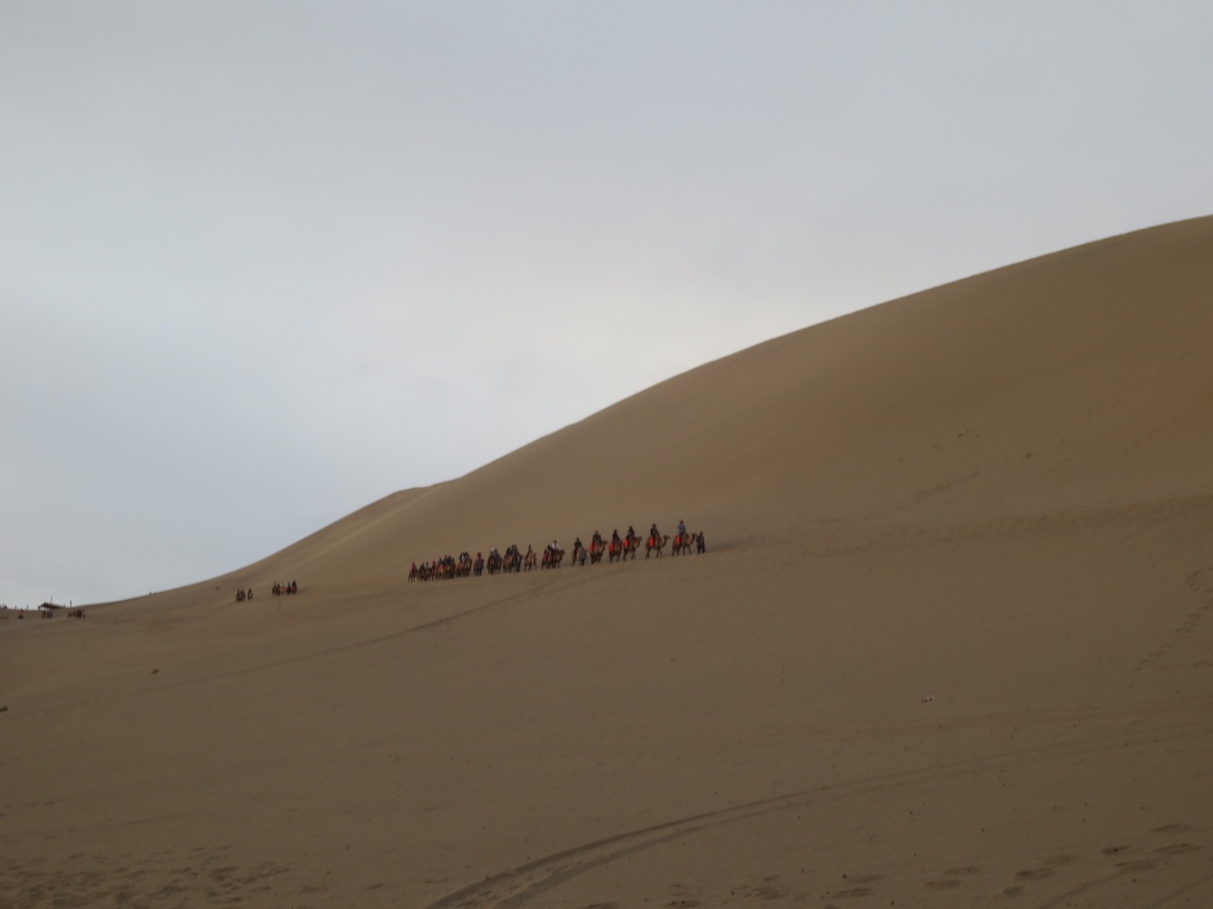 去鸣沙山骑骆驼一定要早，否则等太阳☀出来后会很热，我们早上六点已经在景