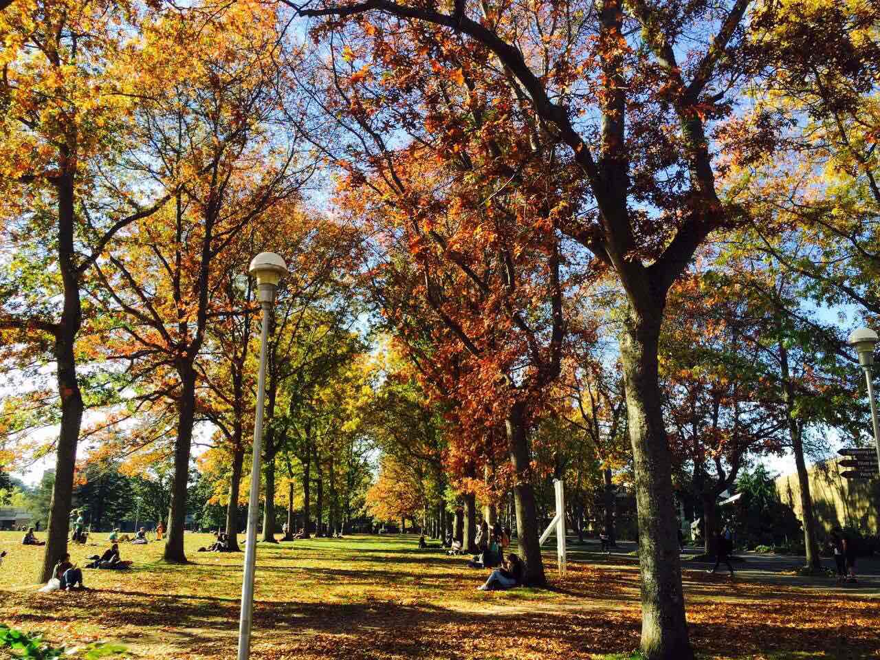 秋天到了。母校维多利亚大学也是一大赏秋的好去处。由于BC省是全加拿大最