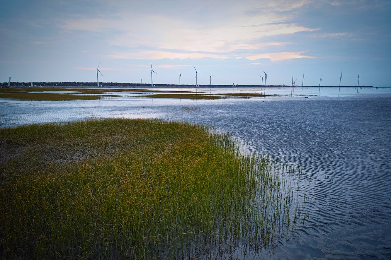 玩海的地方，可惜去的时候云层太厚看不到落日，平缓的湿地，远处的风车，如