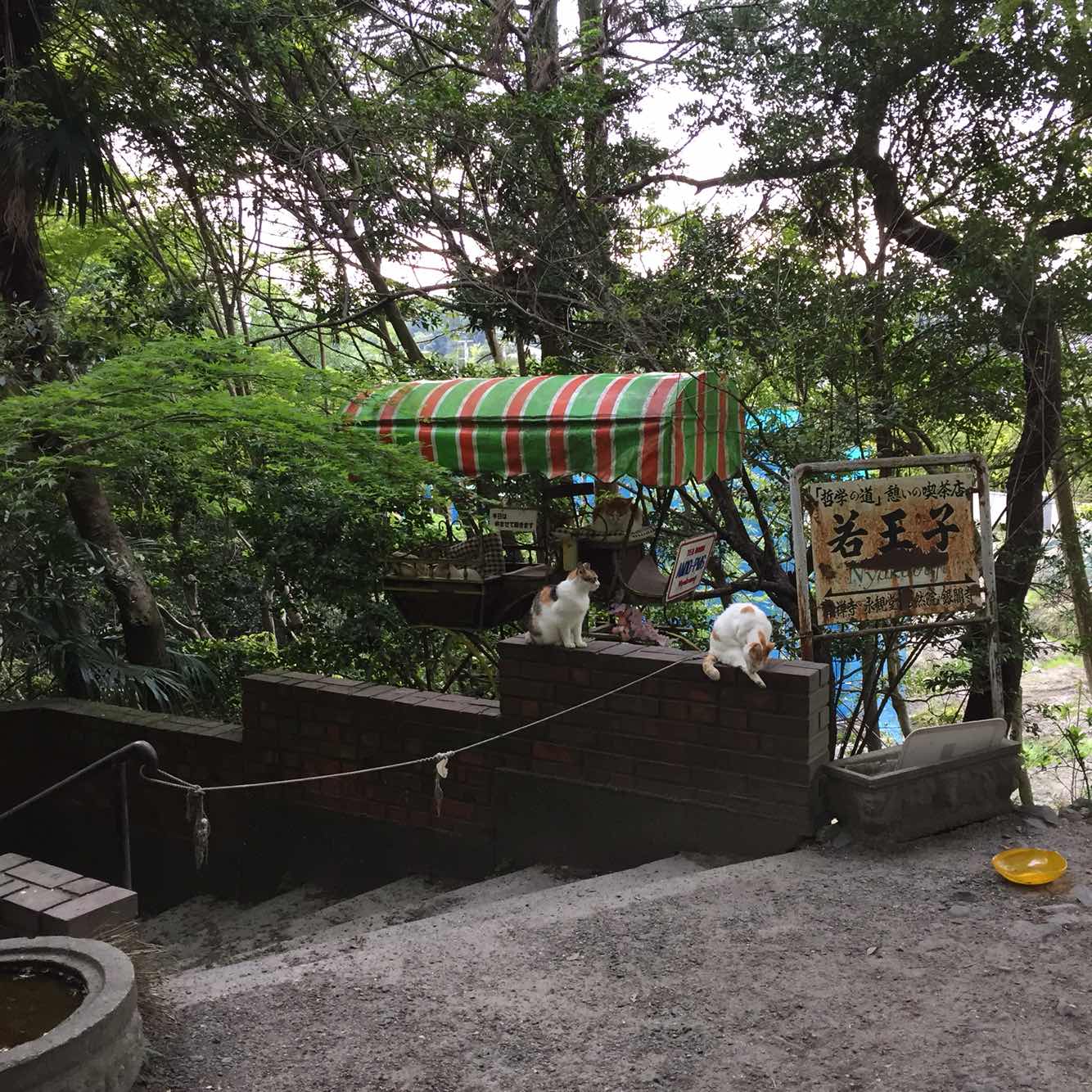 哲学之道是一位台湾朋友推荐散步的地方，在南禅寺附近，我的建议是骑上，两