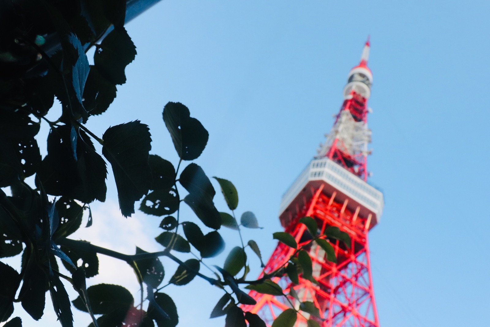东京塔上的夜景很美，买了186的top票，越往上景色越精彩。一个花了5