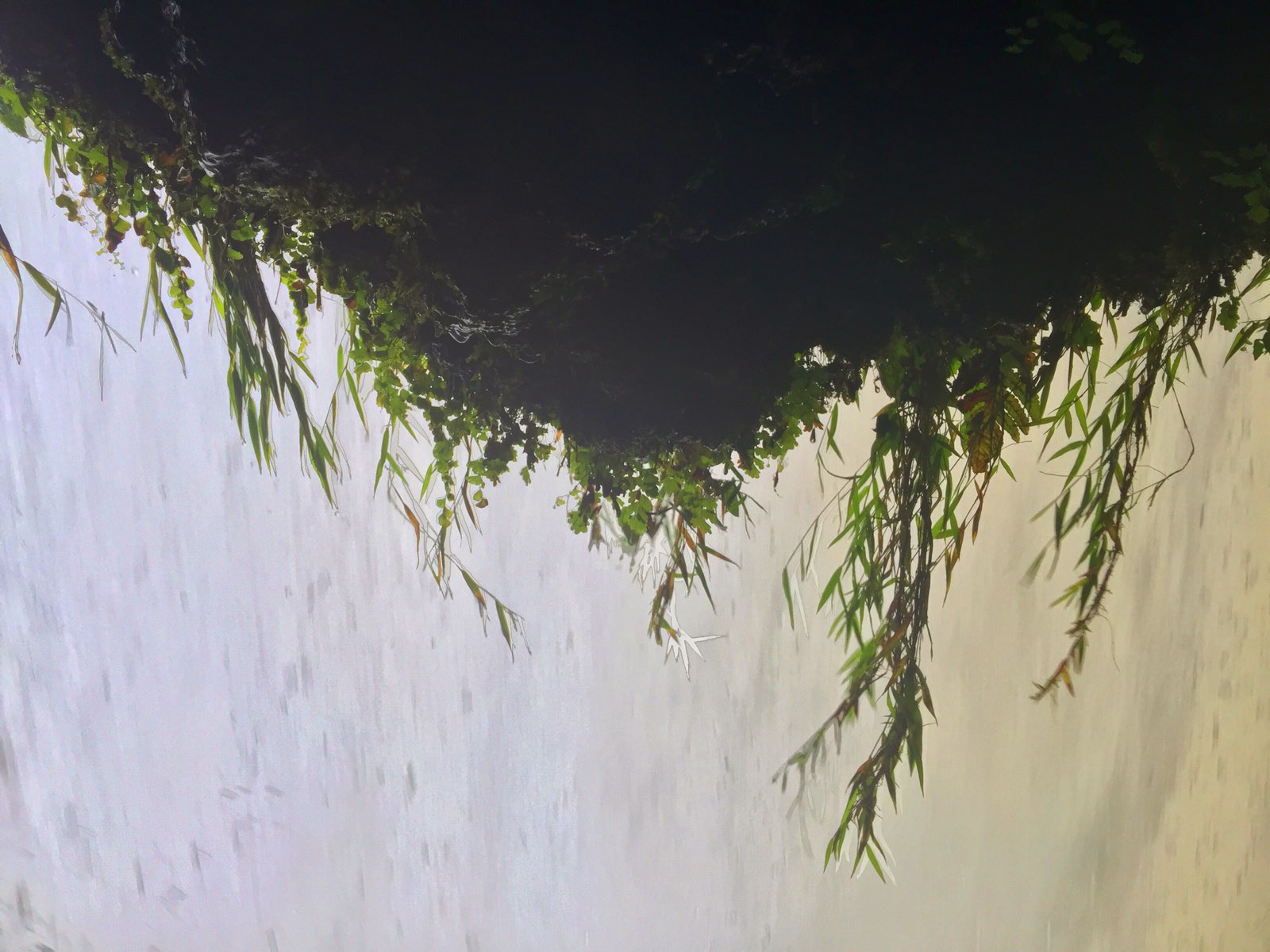 黄果树瀑布是我国最大的瀑布，也是世界上唯一能从上、下、左、右、里、外全