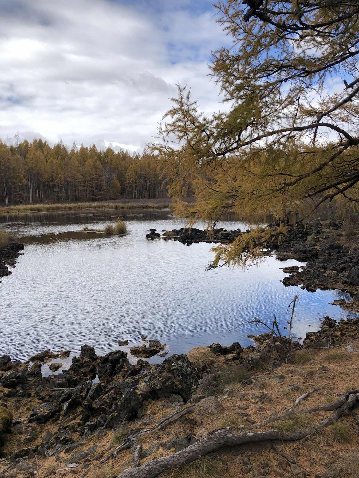 有很多池塘，而且有许多火山喷发的地质遗迹，植被保存的完好，再现了从低等
