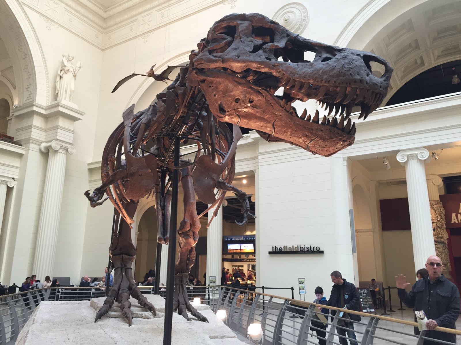 里面看各种动物，化石～～ 世界上最大最完整的恐龙化石，SUEwenha