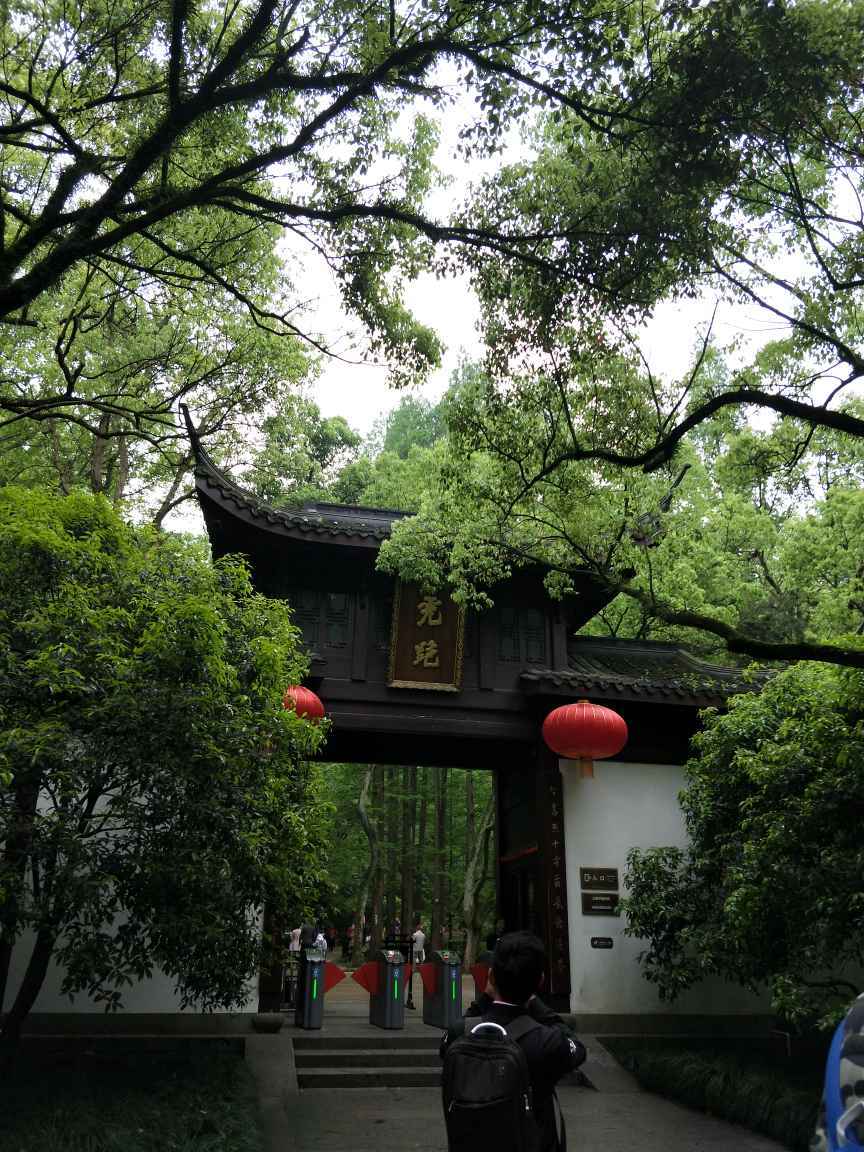 中国茶叶博物馆    虎跑梦泉   龙坞茶村 十八棵御茶跟朋友们一起出