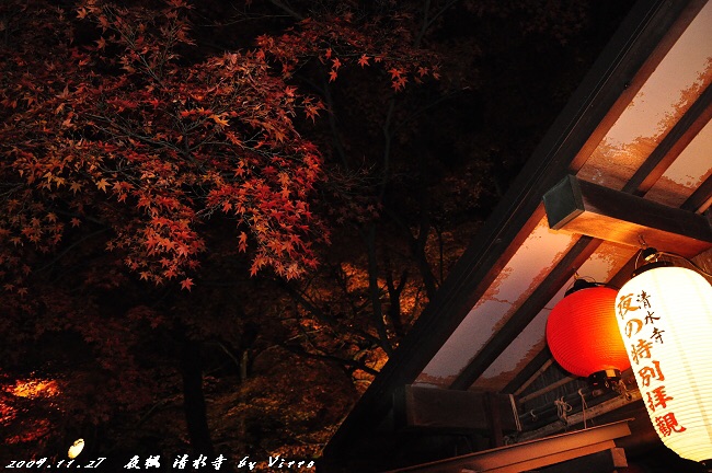 夜楓‧清水寺红叶ライトアップ 清水寺清水寺的夜枫拜观是京都红叶名所中极