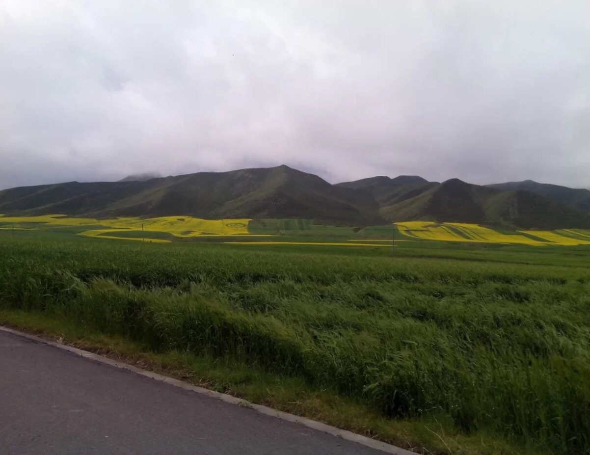 祁连山是甘肃和青海的交界线，也是国内最重要的山脉之一。
