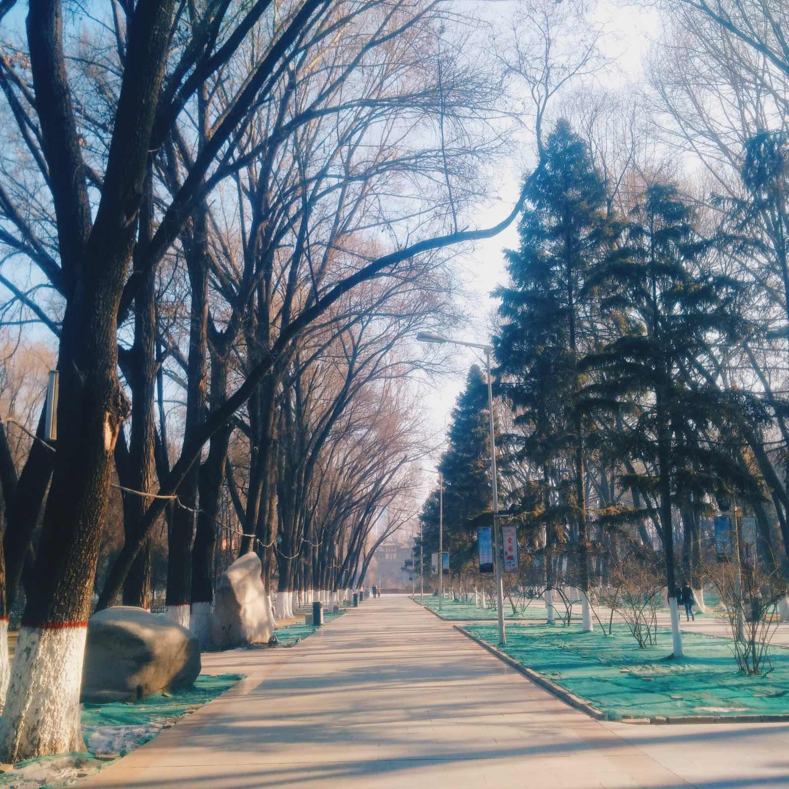 充满着悠闲气息的城市公园，冬天的景色同样不失风味，相信春夏季会更加漂亮