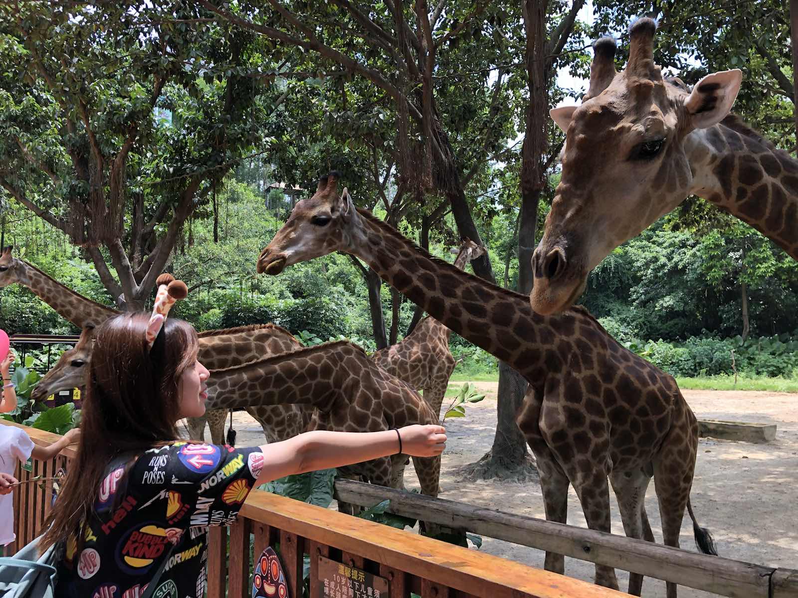 来广州的一大诱因就是当时看了湖南卫视的“奇妙的朋友”，对长隆野生动物园