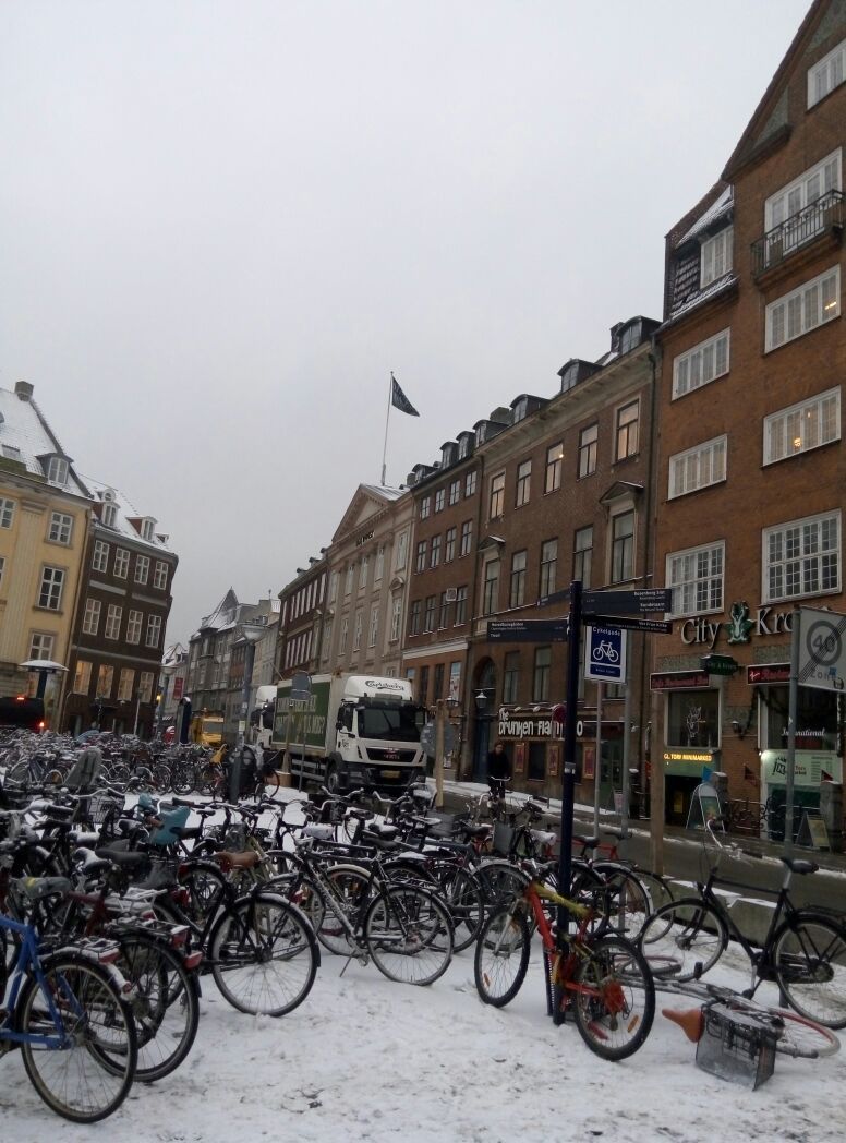 哥本哈根的雪让她更漂亮了。。。