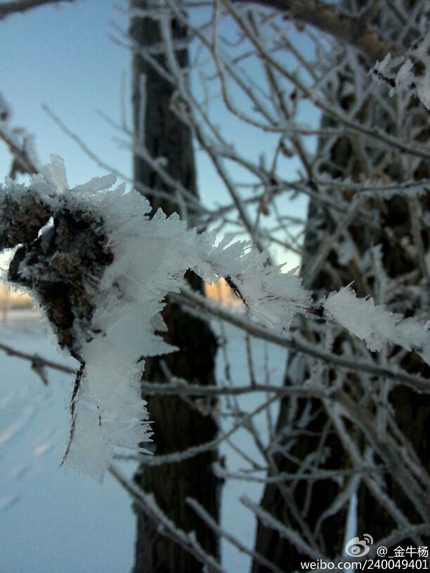 这是14年冬天在张北拍摄的，下了一整夜的雪，早上出门时实在被眼前的美景