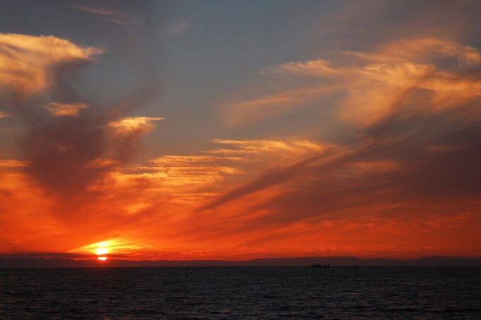 傍晚去伊势湾游船，这边日落真的是超美，所以游船可以选在5:30这一艘船