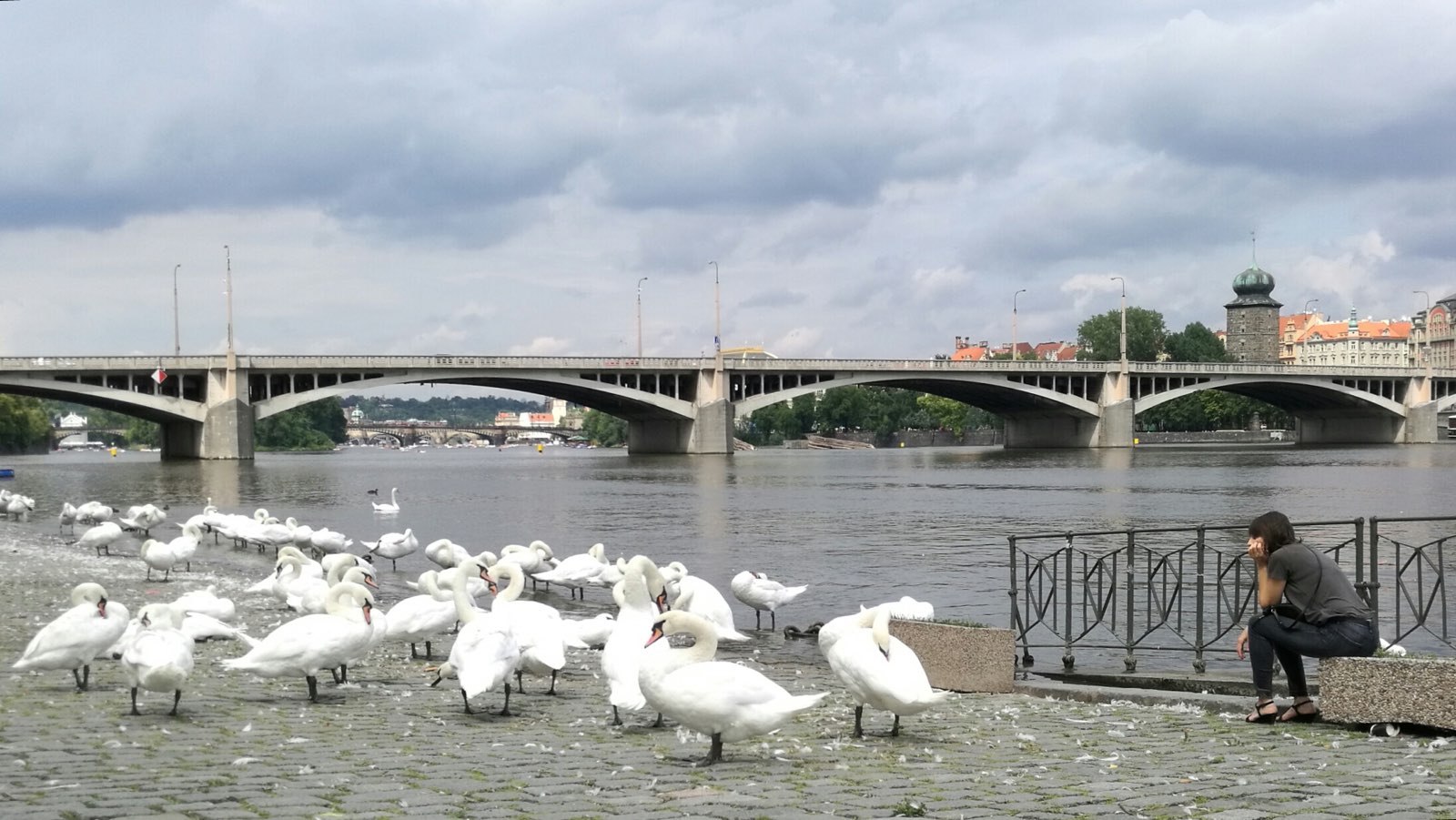 伏尔塔瓦河上有众多桥，最能代表布拉格艺术水准、历史最悠久的是查理大桥，