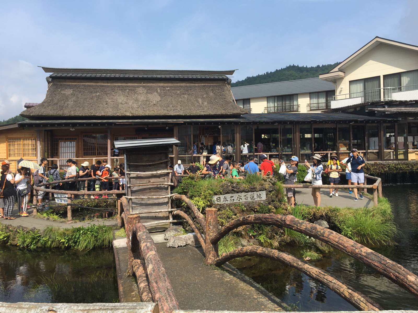 忍野八海是个富士山下的长寿村，豆腐很好吃，强烈推荐。草饼有点甜，很像人